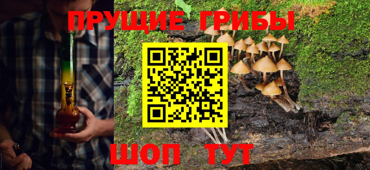 Димитровград  цена   Вход с VPN  Псилоцибиновые грибы MAGIC MUSHROOMS 